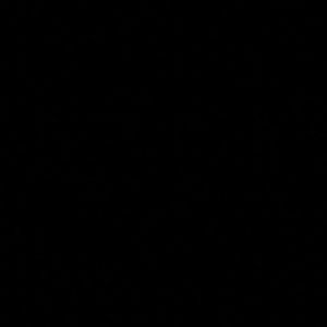 Meet your Posher, Eugenia